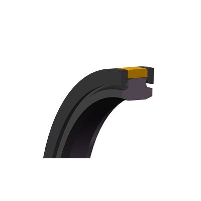 ختم PTFE SPGW للمكبس الهيدروليكي